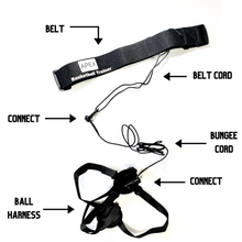 Load image into Gallery viewer, Apex Basketball Trainer